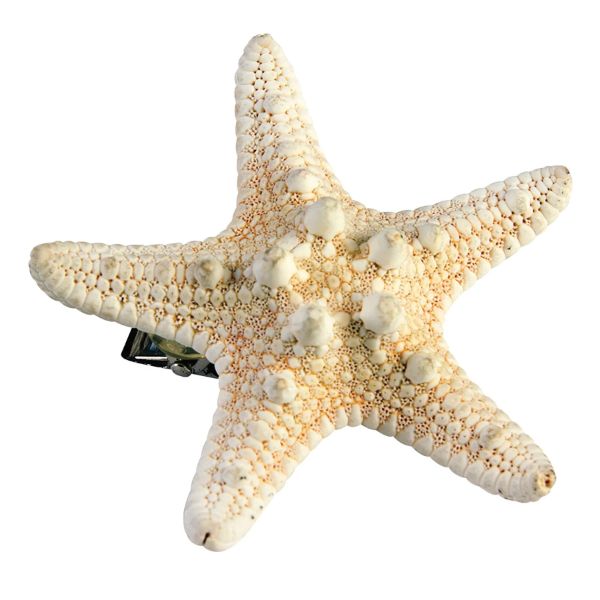 Mermaid Star Fish Hairclip
