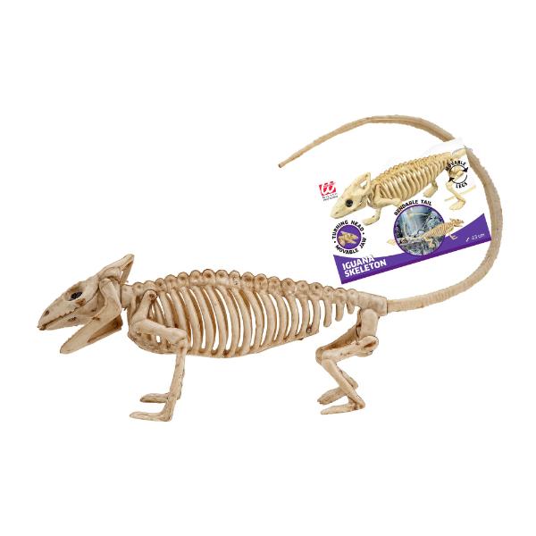 Iguana Skeleton - 43cm