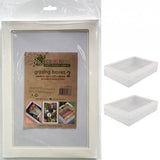 Load image into Gallery viewer, 2 Pack Medium White Grazing Box With Lid - 36cm x 25.2cm x 8cm
