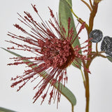 Load image into Gallery viewer, Red Flowering Eucalyptus Stem - 80cm
