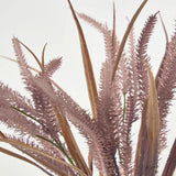 Load image into Gallery viewer, Pink Pampas Grass Bush - 70cm
