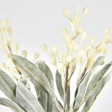 Load image into Gallery viewer, White Wattle Bundle Stem
