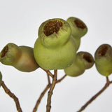 Load image into Gallery viewer, Green Gumnut Spray - 67cm
