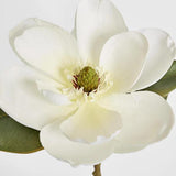 Load image into Gallery viewer, White Magnolia Stem - 74cm
