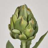 Load image into Gallery viewer, Green Artichoke Stem - 58cm

