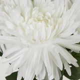 Load image into Gallery viewer, White Mum Bush - 46cm
