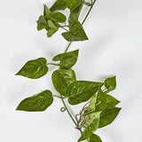 Load image into Gallery viewer, Green Pothos Garland UV Coated - 150cm
