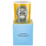 Load image into Gallery viewer, Ollie The Orangutan Candle - 10cm x 12.5cm
