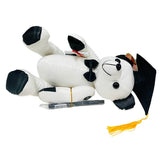 Load image into Gallery viewer, Novelty Graduation Bear
