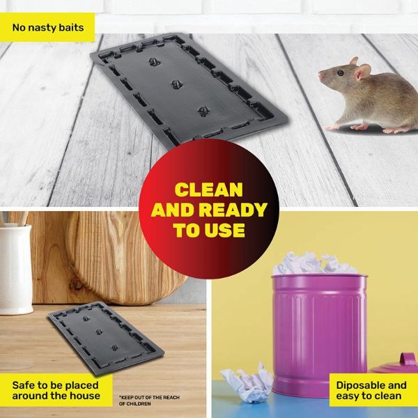 6 Pack Black & Clear Glue Trap Mouse - 20.5cm x 11cm x 1cm