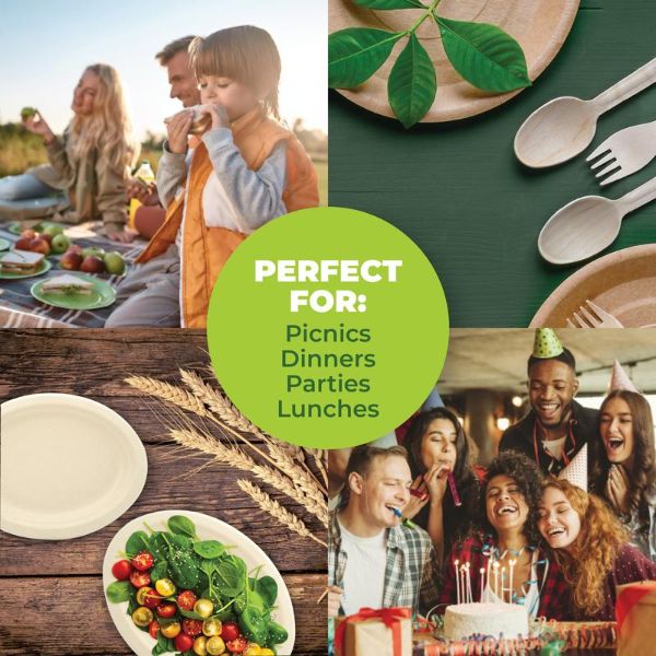30 Pack Oval Eco Friendly Wheat Straw Dinner Plate - 26cm