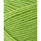 Load image into Gallery viewer, Pear Sorbet Knitting Yarn 100g - 8 Ply
