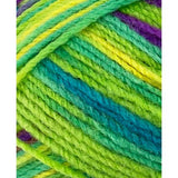 Load image into Gallery viewer, Gooseberry Sorbet Knitting Yarn 100g - 8 Ply
