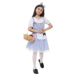 Load image into Gallery viewer, Storybook Dorothy Girls Costume - 9 - 10 Years

