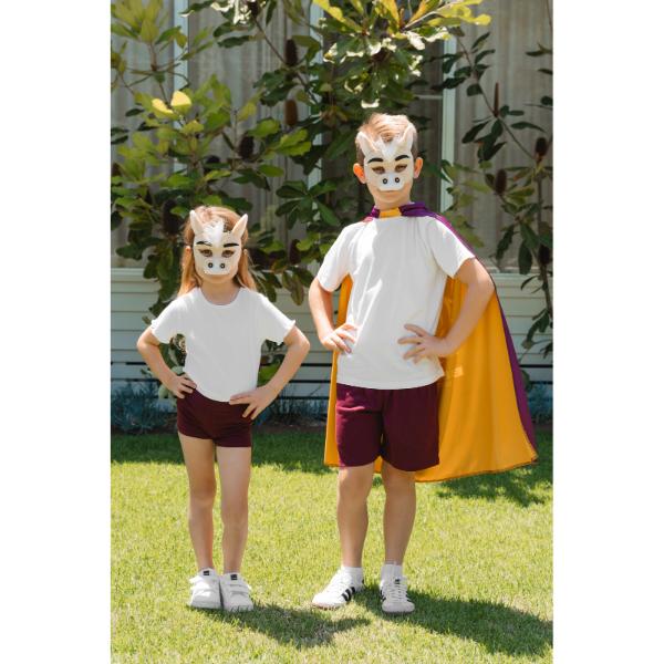 Brisbane Broncos Mini Mascot Mask