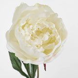 Load image into Gallery viewer, White Peony Half Open Stem - 70cm
