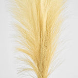 Load image into Gallery viewer, Cream Pampas Spray - 1.2m
