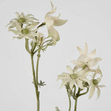 Load image into Gallery viewer, White Flannel Flower Spray - 75cm
