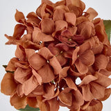 Load image into Gallery viewer, Brown Hydrangea Stem - 69cm
