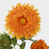 Load image into Gallery viewer, Orange Sunflower Spray With 3 Flowers - 65cm
