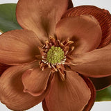 Load image into Gallery viewer, Brown Magnolia Stem - 74cm

