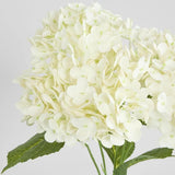 Load image into Gallery viewer, White Real Touch Hydrangea - 5 Head

