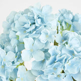 Load image into Gallery viewer, Blue Hydrangea Bunch With 5 Heads
