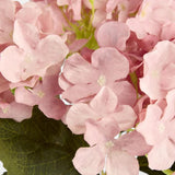 Load image into Gallery viewer, Pink Hydrangea Bunch With 5 Heads
