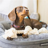 Load image into Gallery viewer, Paws &amp; Claws Eco White Rope Knotted Ball Dog Chew Toy - 7.5cm
