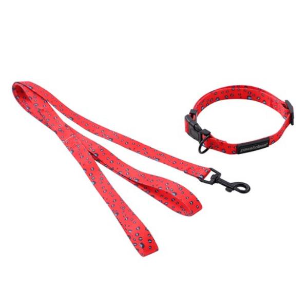 Small Park Life Collar & Lead Set
