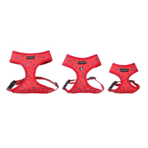 Medium Park Life Printed Harness - 37cm x 50cm