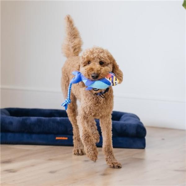 Mini Rope Slider Feeding Frenzy Rope Slider - 36cm x 10cm x 12cm | The Base Warehouse