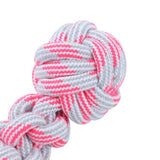 Load image into Gallery viewer, Neon Tug Of War Dumbell Tugger Toy - 25cm x 8cm x 1.5cm
