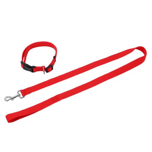 Large Essentials Collar & Lead Set - 120cm x 2.5cm