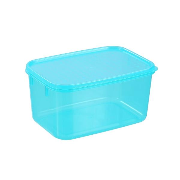 Lemon & Lime Simple Fresh Food Container - 2L