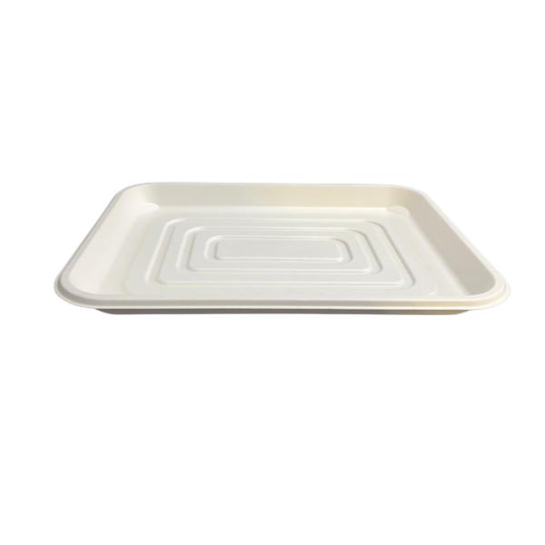 3 Pack Eco Friendly Zafpack Sugarcane Tray - 45.8cm x 35.4cm x 3.5cm