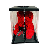 Load image into Gallery viewer, Valentines Rose Bear In Box - 35cm
