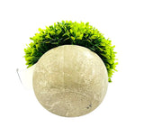 Load image into Gallery viewer, Half Potted Ball Plant
