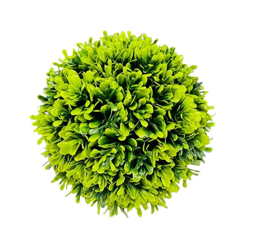 Half Potted Ball Plant