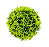 Load image into Gallery viewer, Half Potted Ball Plant
