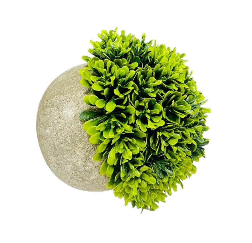 Half Potted Ball Plant