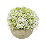 Load image into Gallery viewer, Half Potted Ball Plant
