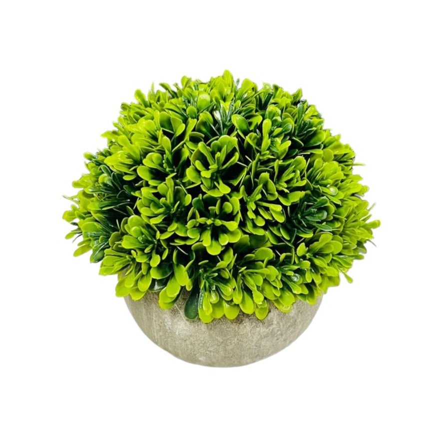 Half Potted Ball Plant