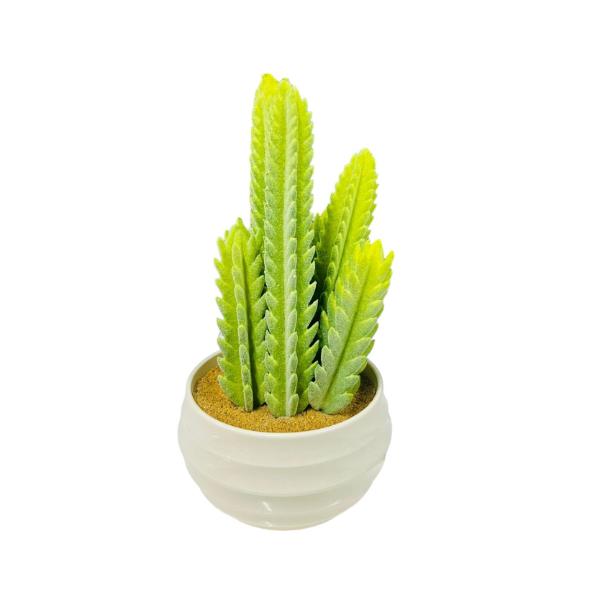 Ceramic Potted Cacti - 30cm