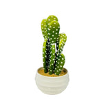 Load image into Gallery viewer, Ceramic Potted Cacti - 30cm
