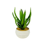 Load image into Gallery viewer, Ceramic Potted Cacti - 30cm
