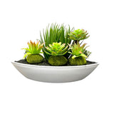 Load image into Gallery viewer, Ceramic Boat Potted Cacti - 40cm
