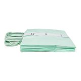Load image into Gallery viewer, 10 Pack Mint Green Kraft Bag - 16cm x 22cm x 8cm
