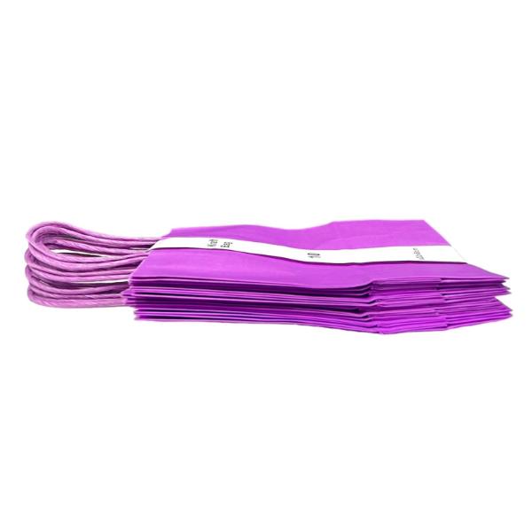 10 Pack Purple Loot Bags - 16cm x 22cm x 8cm