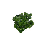 Load image into Gallery viewer, 5 Pack Green Leaf Garland - 200cm
